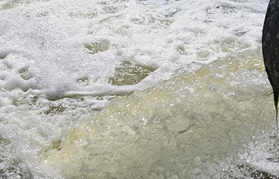 企業超標排放嚴重 將罰款60萬元