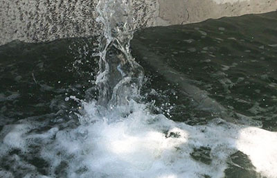 市政污水處理方案的特點介紹