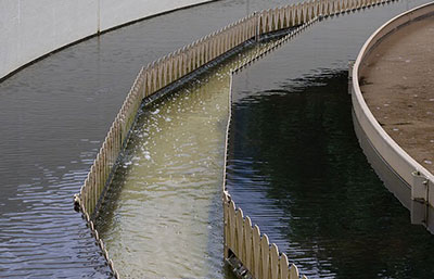 從事污水處理工作，你必須知道的危險