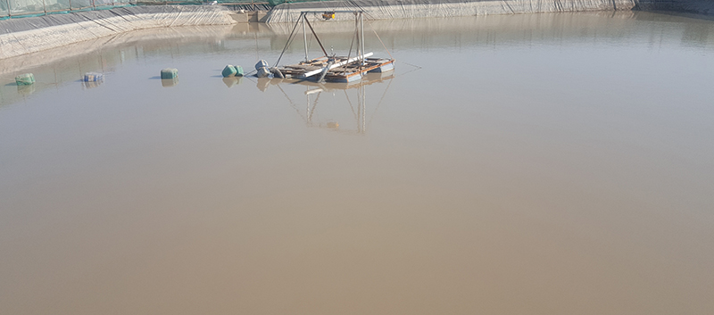 常用的幾種污泥脫水的方法詳解