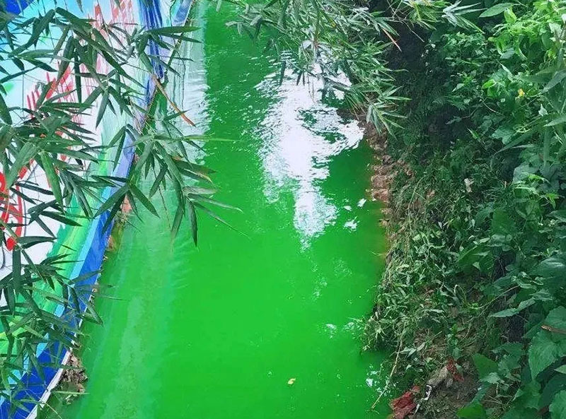 觸目驚心！水全都“染綠”了！多家企業被查處！