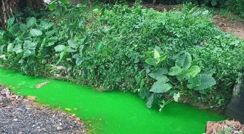 觸目驚心！水全都“染綠”了！多家企業被查處！